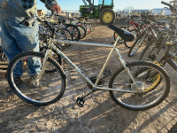 Renegade bicycle