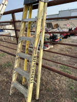 Feather light stepladder