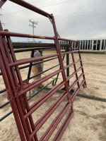 10 foot prairie panel with 4 foot walk-through gate