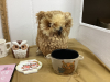 OWL COLLECTION - 2