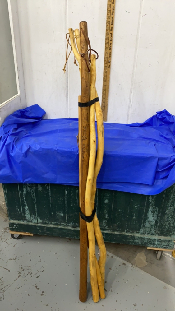 BUNDLE OF WALKING STICKS bundle-of-walking-sticks