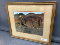 YOUNG LAD & FOAL