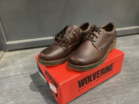 NEW IN BOX - WOLVERINE SIZE 13W OXFORDS