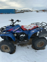 Polaris quad ( parts )