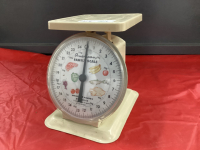 AMERICAN FAMILY SCALE