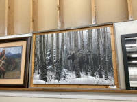 BARNWOOD FRAME PICTURE BY STEPHEN LYRNAN - MOOSE IN WINTER