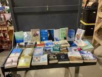 2 BOXES OF NOVELS