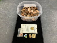 SMALL CONTAINERS W/ PENNIES AND A FEW COLLECTOR PINS