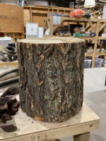 LARGE DOUGLAS FIR STUMP