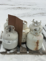 Five expired propane tanks, and contents