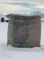 One round bale of second cut grass alfalfa