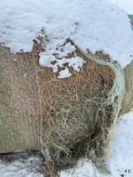 One round bale of second cut grass alfalfa