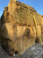 Pallet of 11 square bales
