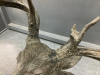 "BRONZE LOOK" ... "DEEP IN THE RUT" DECOR PIECE. BY BURL JONES. 14/450 - 6